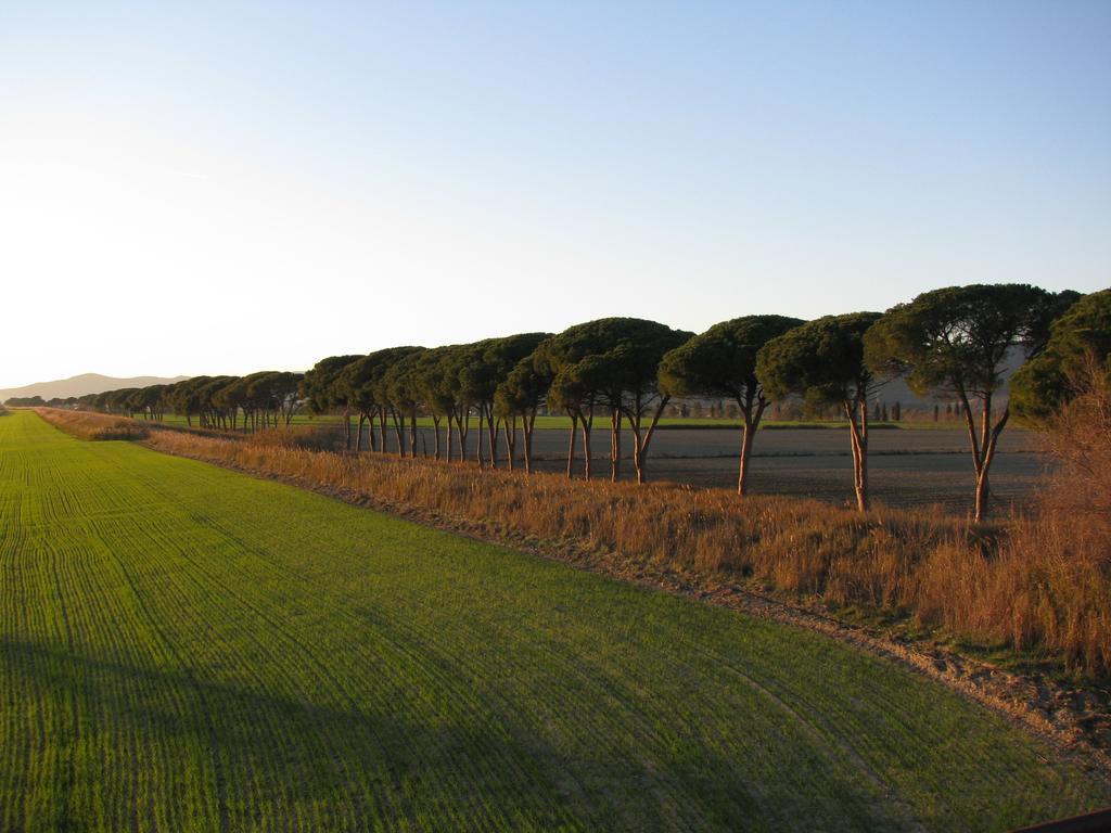Appartamenti Il Granaio Marina di Grosseto Exterior foto