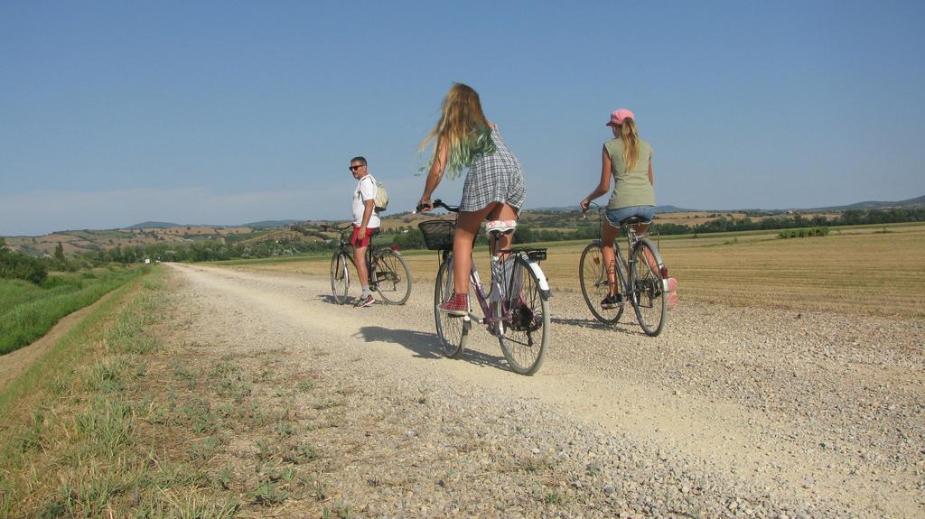 Appartamenti Il Granaio Marina di Grosseto Exterior foto